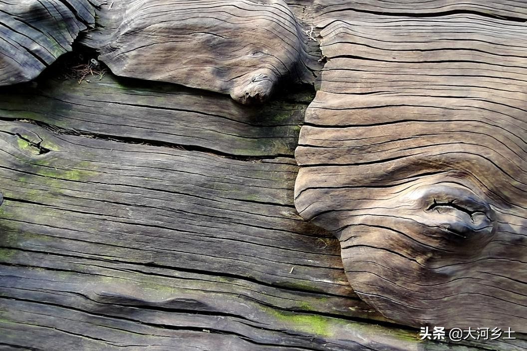 千年乌木关帝庙,关帝庙古树价格