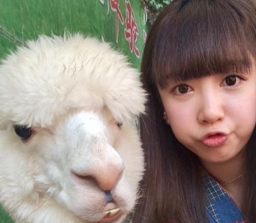 亚洲各国太太团,国足太太团阵容