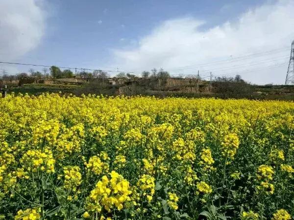 麟游旅游攻略一日游,宝鸡五一游攻略
