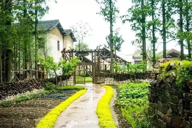 涔屾潙娓稿鏁伴噺,涔屾潙骞存帴寰呮父瀹㈤噺