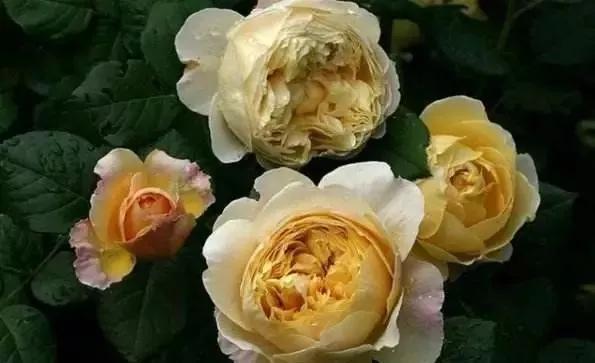 每天学习一点点女性小常识,每天学习一点点科普一下