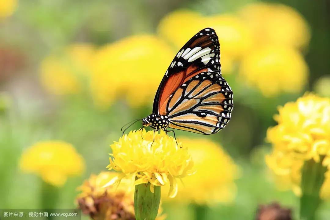 富有人生哲理的短文阅读,影响一生的100个哲理故事有哪些