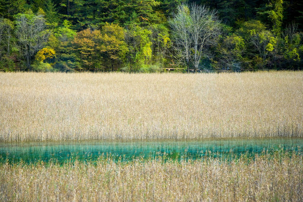 驴妈妈团购,驴妈妈门票团购