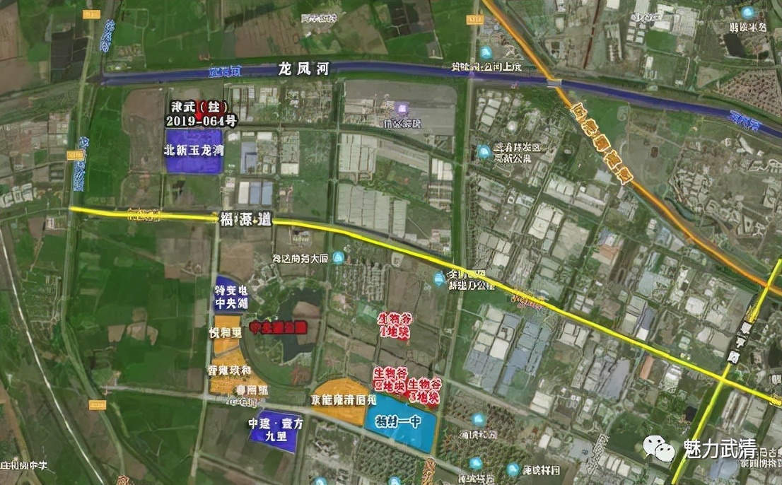 武清区最新发展消息,武清区这些年的发展趋势