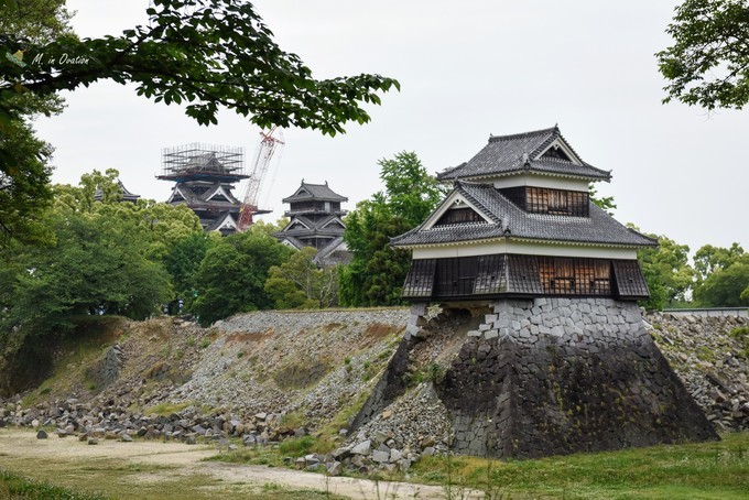 海洋光谱号到日本玩什么,海洋光谱号一日游攻略