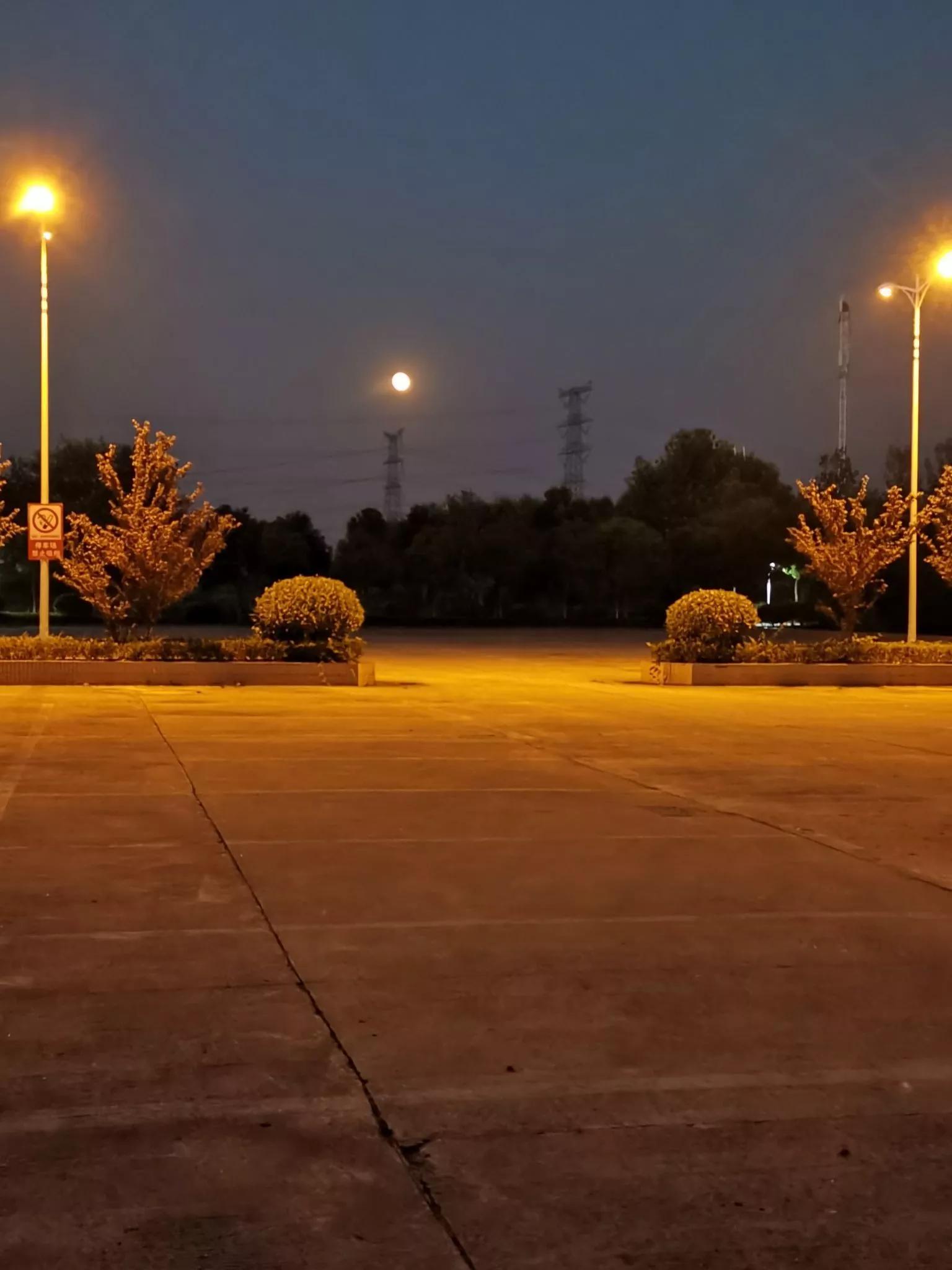 南京财经大学红山学院长什么样,南京财经大学红山学院院系数量