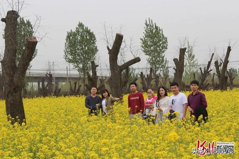 邯郸自驾游看花十大排行榜,石家庄48条春观花旅游线路