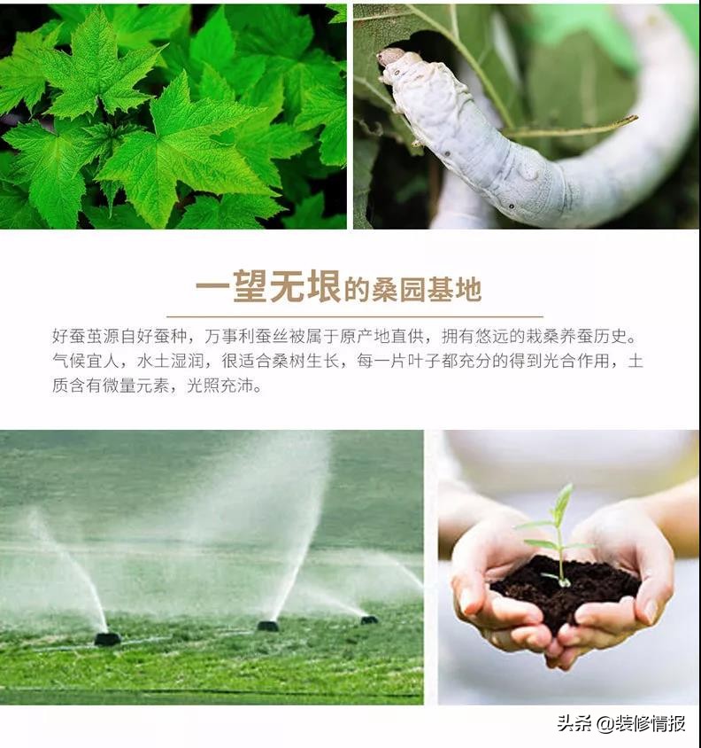 手工剥丝棉,手工剥丝和机器剥丝