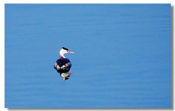 余姚四明湖开元山庄,余姚四明湖开元山庄自驾游