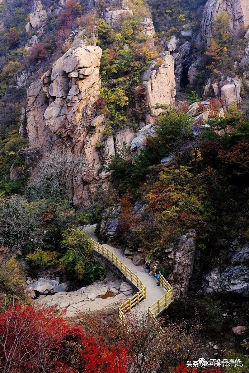 精彩青岛从崂山烟厂到青岛双蝶集团股份有限公司