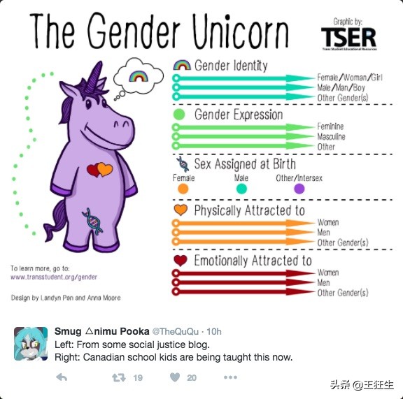 Blinkist性别教育：《她/他/Ta们/我》