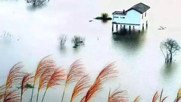 75首古诗第二十一至二十五首,古诗第二十四首