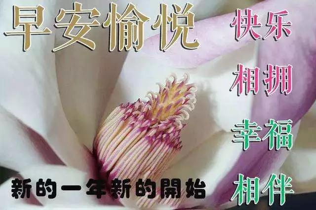 涓嶅繕鍒濆績蹇靛康涓嶅繕蹇呮湁鍥炲搷,蹇靛康涓嶅繕蹇呮湁鍥炲搷涓嶅繕鍒濆績