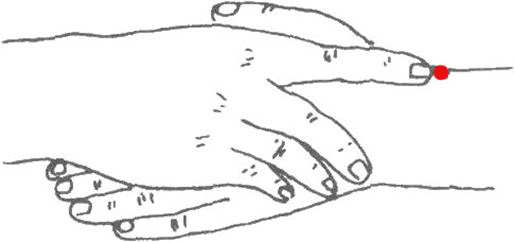 头痛头一动就痛,头疼头重一摇头都疼