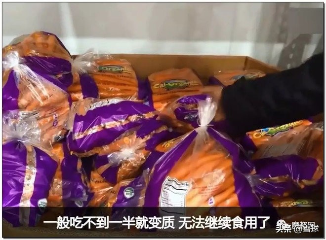 costco上海火爆视频,costco为什么这么火