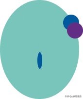 ai改图层不透明度,图层不透明度关键帧