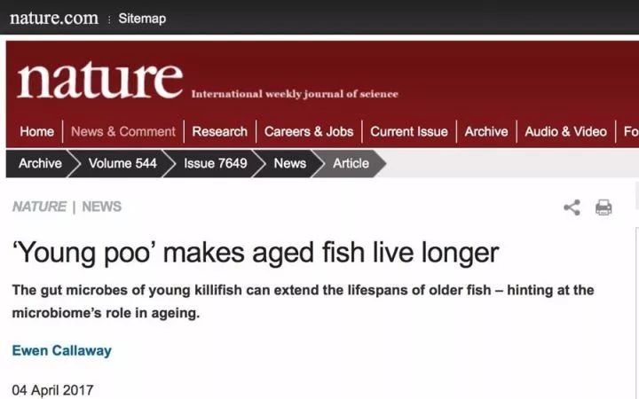 动物吃自己粪便原因,为什么动物吃掉粪便