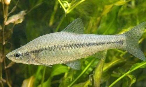 打开新世界之门,世界钓鱼之旅钓大鱼