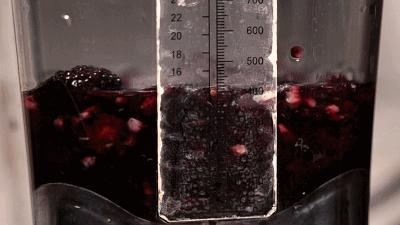 8年卖出408w杯果茶，今天宣布：限时买①送①！