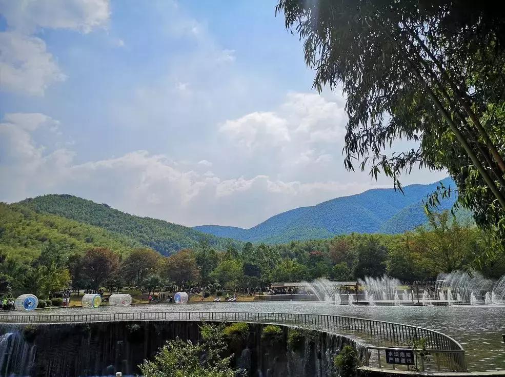 每逢节后胖三斤?是时候来宜兴竹海吸氧遛弯了!