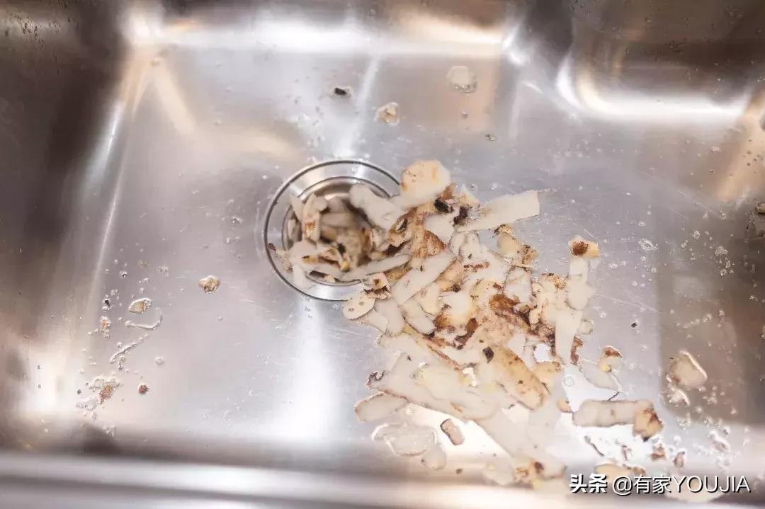 洗碗机和垃圾处理器有必要吗,垃圾处理器需要买品牌吗