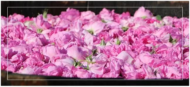 怎么辨别面膜到底是不是正品,怎么选面膜不会买到假的面膜呢