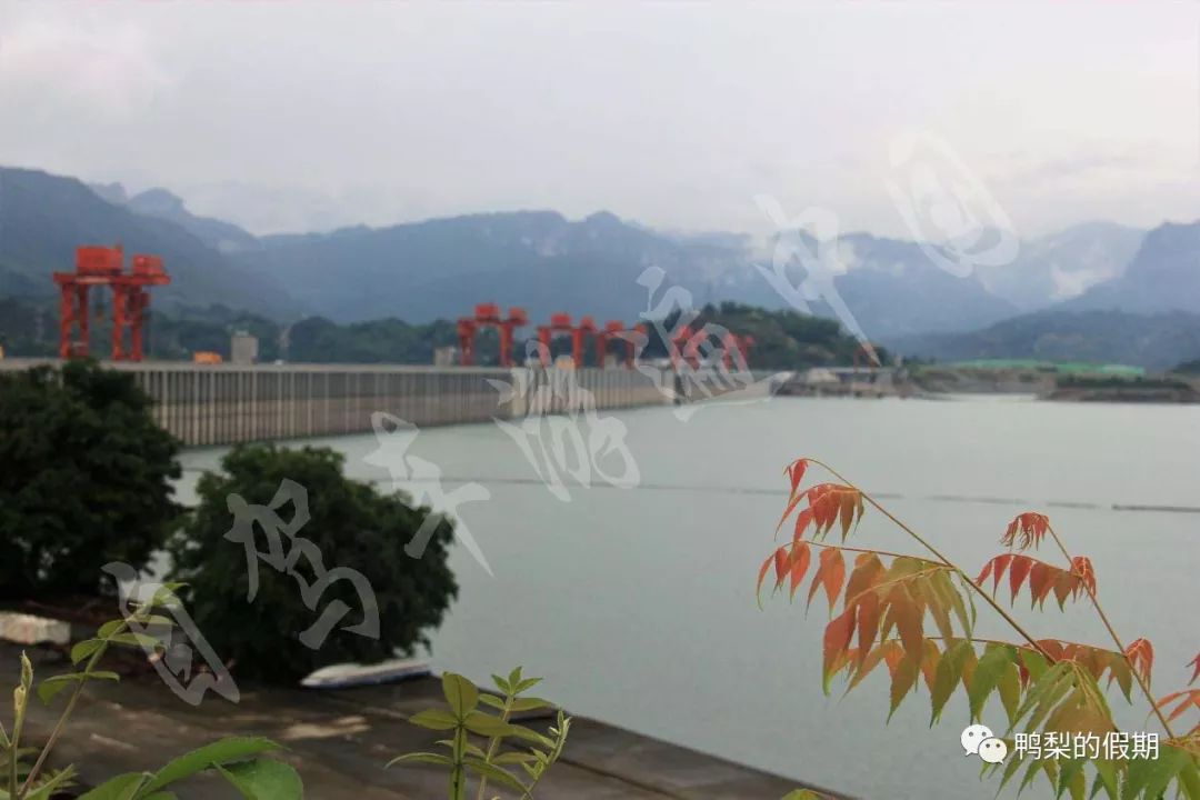 自驾车游遍中国之（一）——世界那么大，我想去神农架