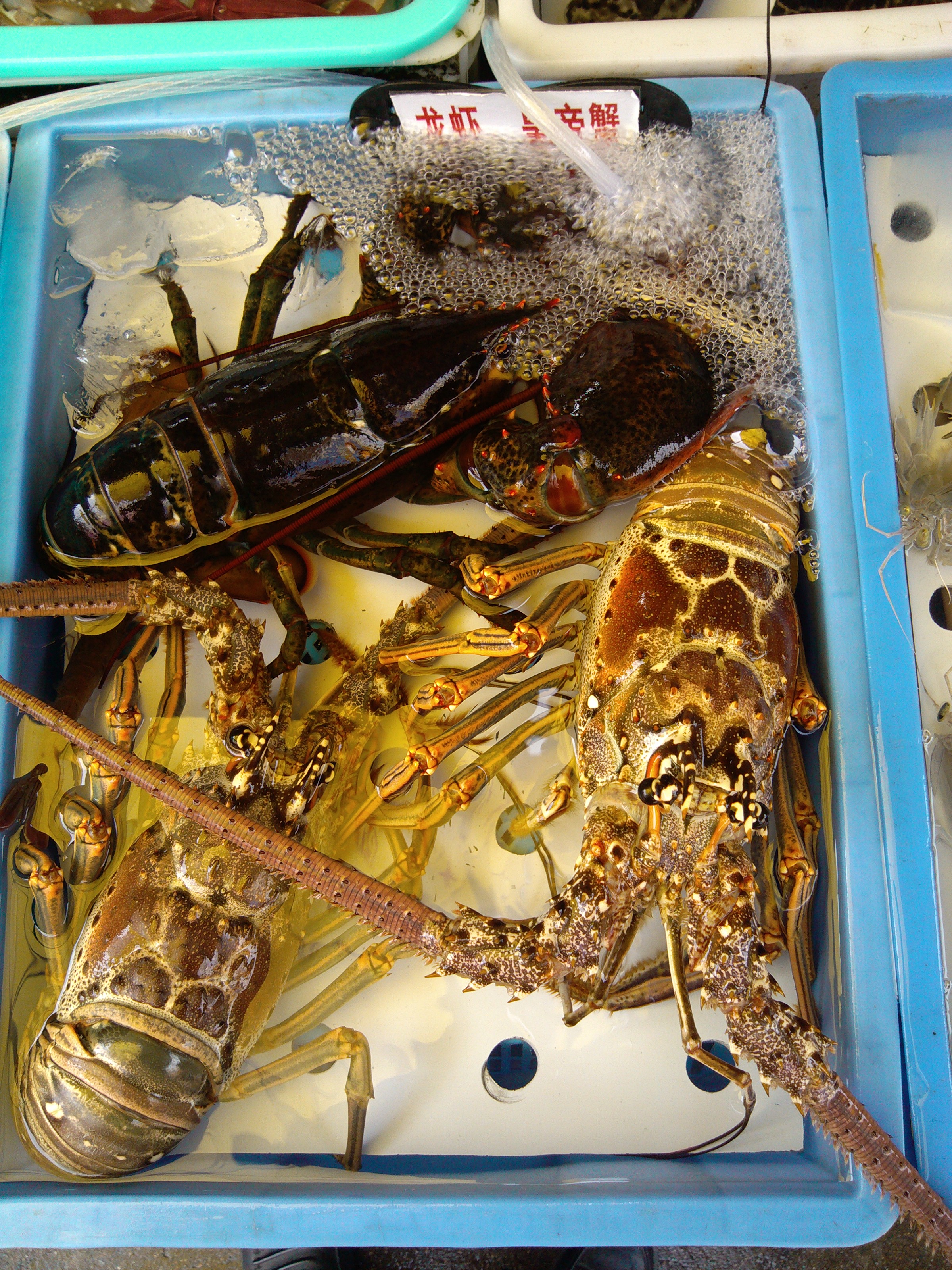 珠海海鲜游,珠海澳门环岛游时间表