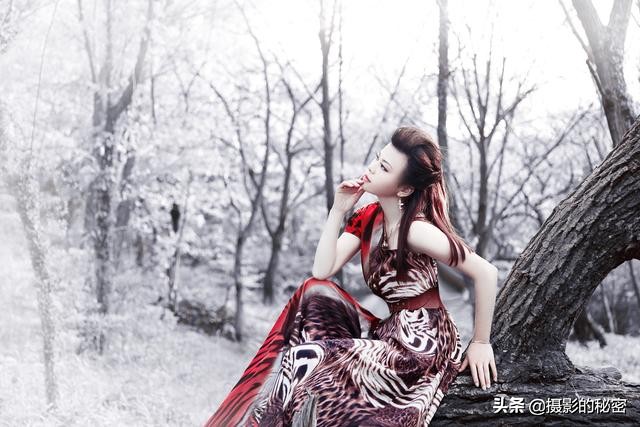 10年摄影专业从业经历,10年工作经验的摄影师