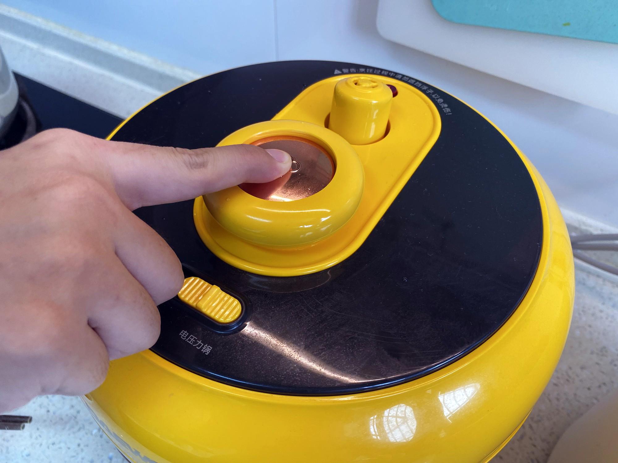 蒸煮两用电压力锅哪个牌子好,家用压力锅和微压锅哪个好