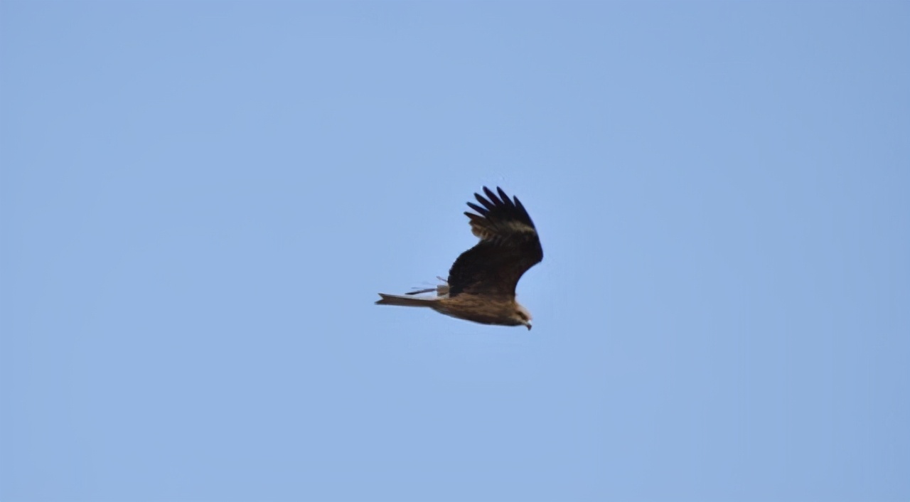 1927年的西游记盘丝洞视频,1927老版西游记盘丝洞