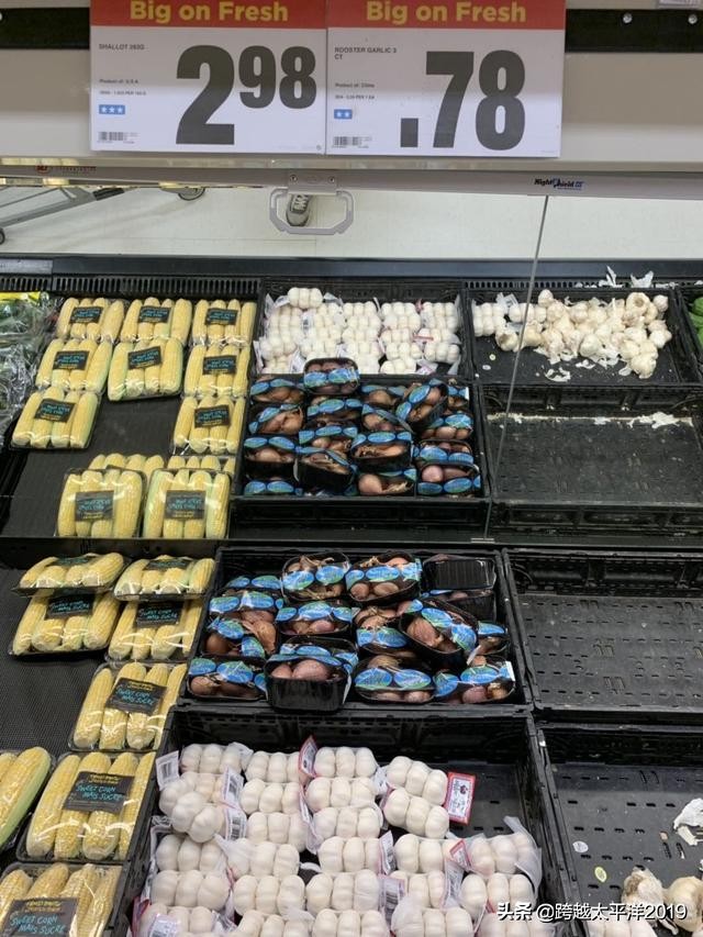 加拿大超市购物必买 (加拿大多伦多costco购物必买)