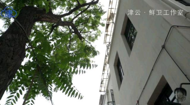 这家深埋在天津胡同里的啤酒馆就是不做广告,但老外都能自己找上