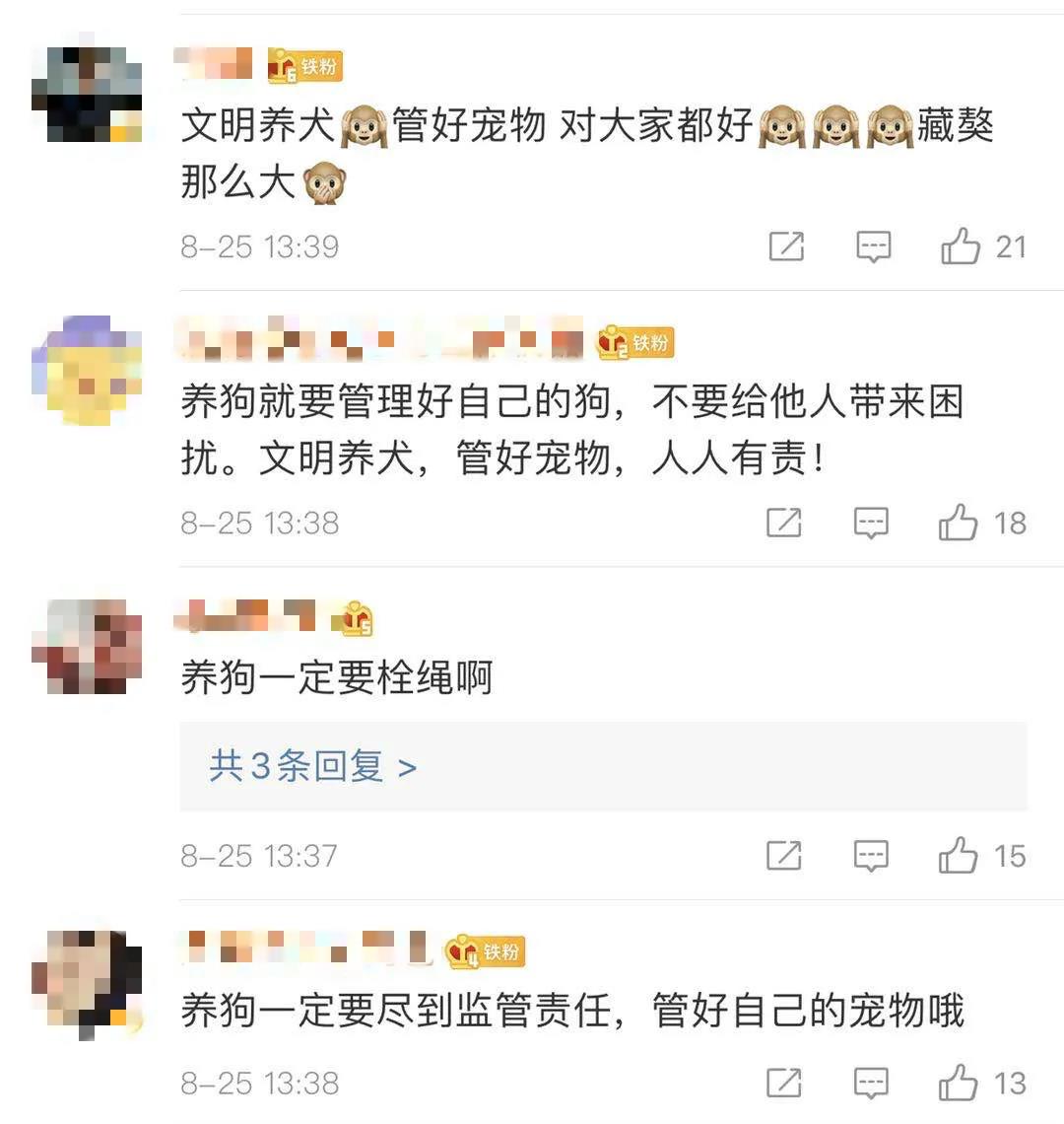 女子被藏獒吓,浙江女子被藏獒吓撞车致截瘫