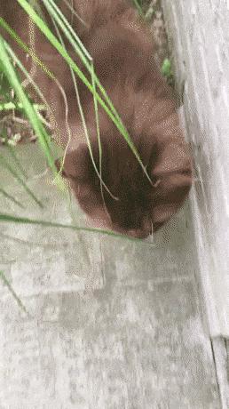 39张搞笑车祸动图,交通事故搞笑gif动图