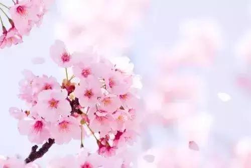 狂飙18级,狂飙18集公路飙车片段在哪