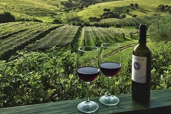 看了新西兰的这些酒庄和美食，让人蠢蠢欲动