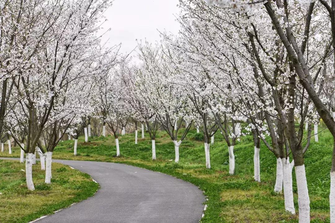 清明去哪儿玩|盘点那些值得打卡的北京周边小众景点！
