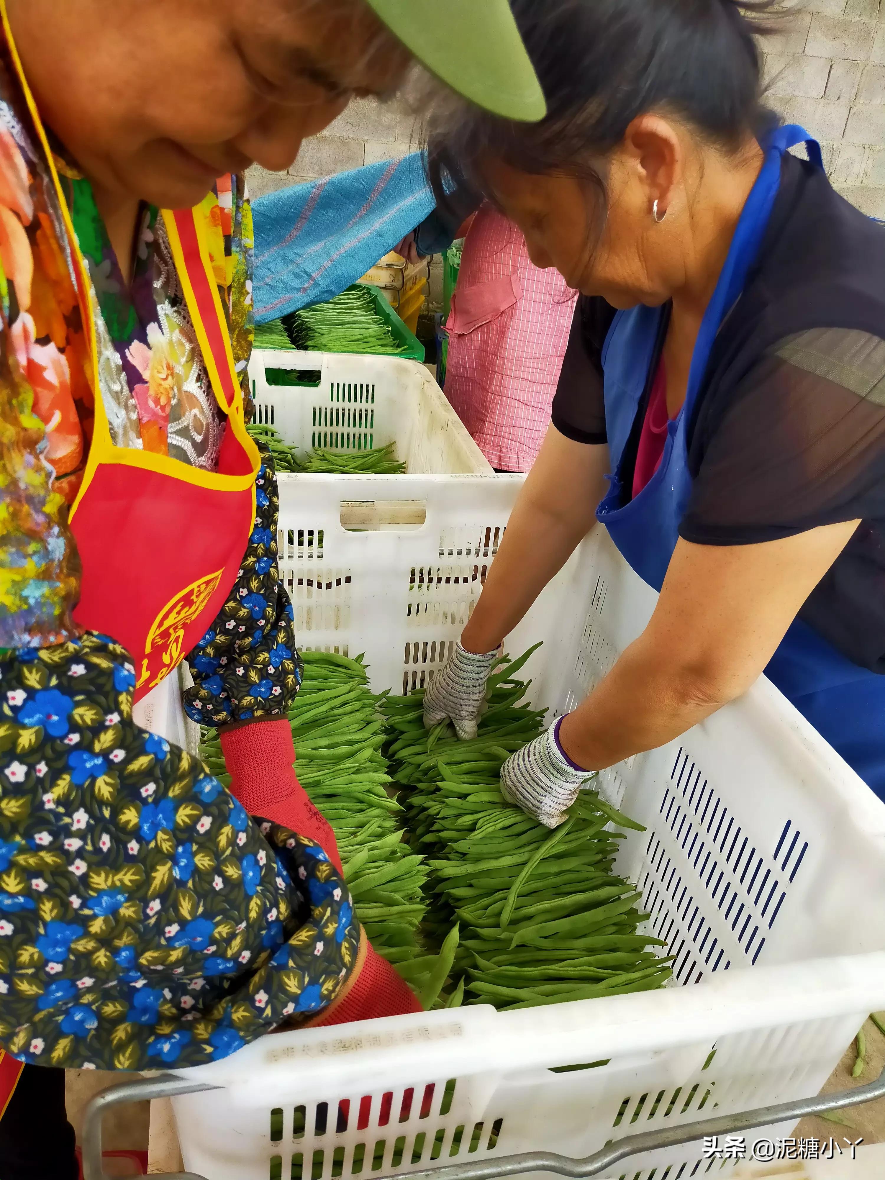 在农村没工作干什么可以赚钱,农民不去打工怎么赚钱