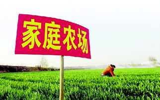 2023年农村包地有前景吗,农村包地有前景吗