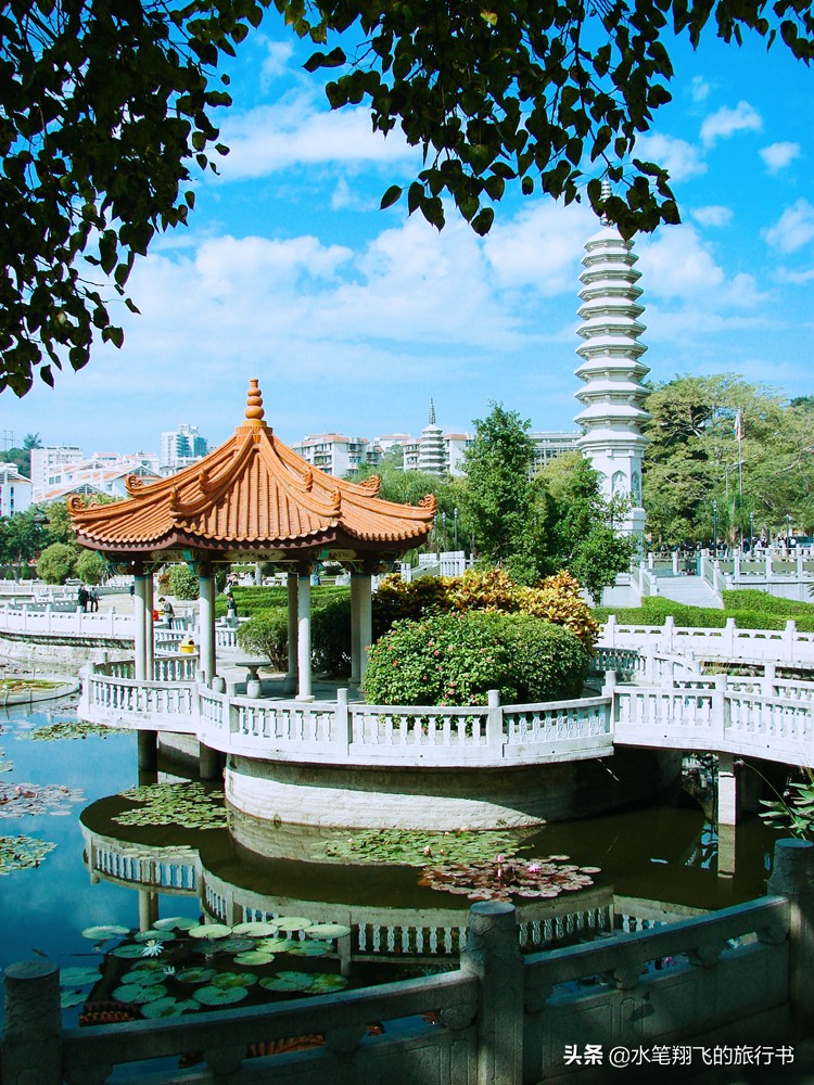 厦门有这样一个地方｜小和尚的邻居是大学生，古朴与摩登并存