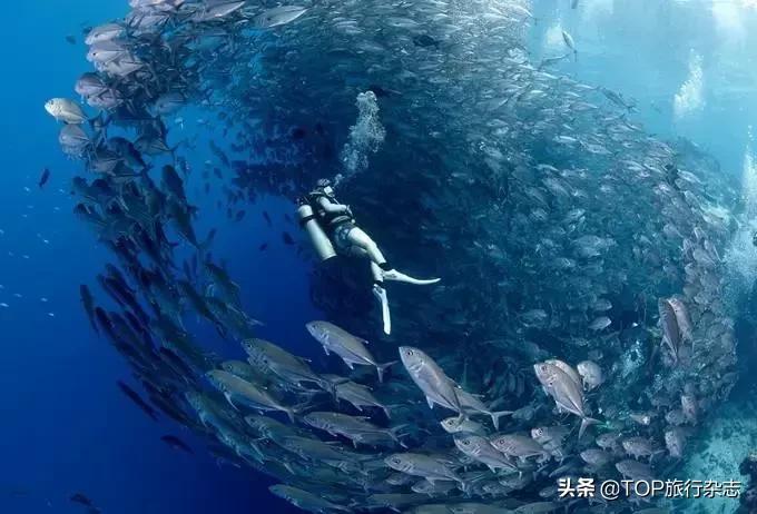 6月国内往返特价机票,6月机票便宜适合旅游的地方