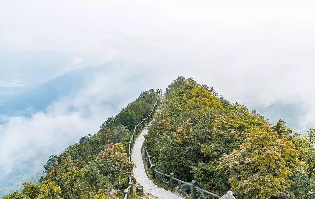 附近莲塘,附近的莲塘