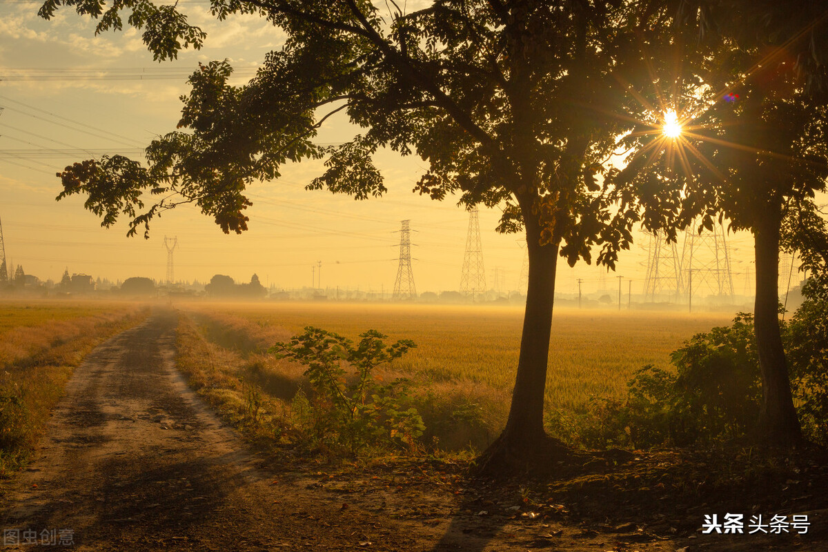 55岁阿姨创业回农村,65岁阿姨哭诉晚年过得艰难