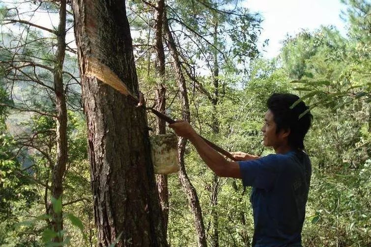 适合穷人的18个创业加盟项目农村,农村适合穷人的18个创业项目