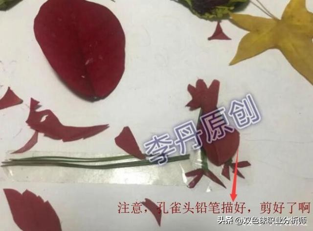 树叶手工制作最好看又简单合集,四个树叶就可以做出的小手工