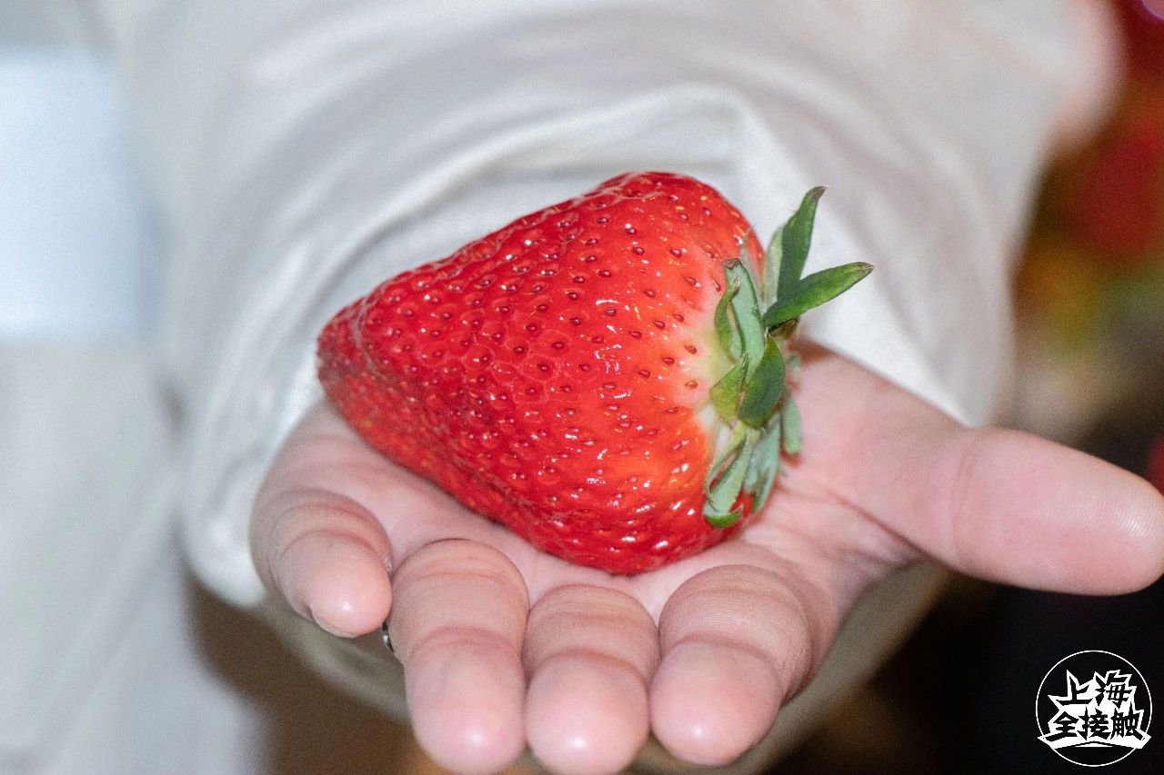年货推荐礼盒超值好品,年货推荐又好吃又便宜的零食