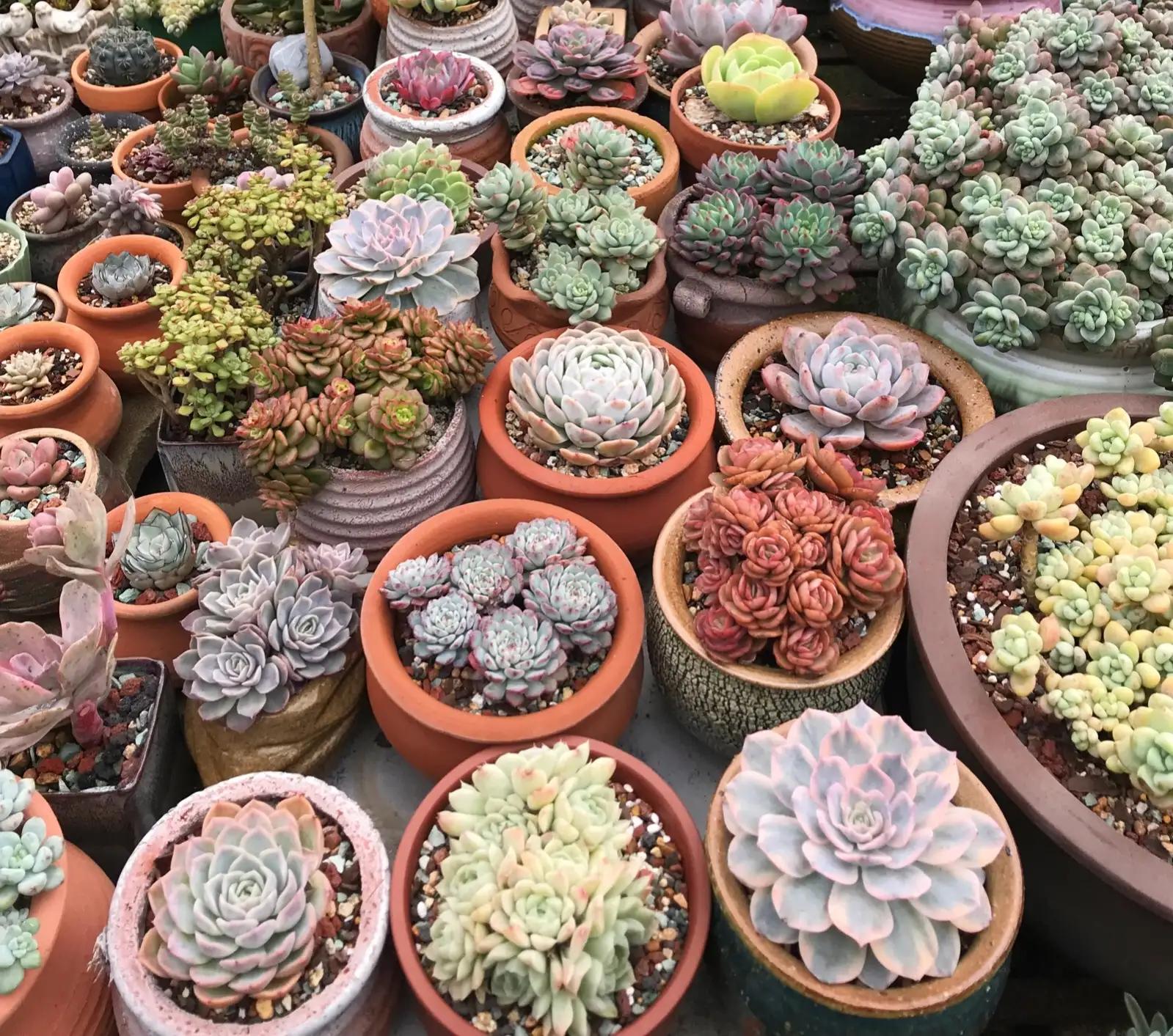 一万块做什么能快速赚钱,有哪些生意可以靠差价赚钱