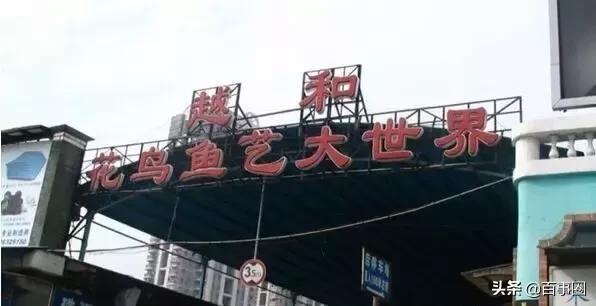 广州芳村，淡看悠然岁月情，认识广州芳村更多