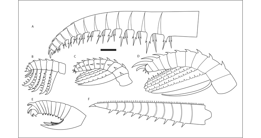 奇虾的故事1：恐虾首霸